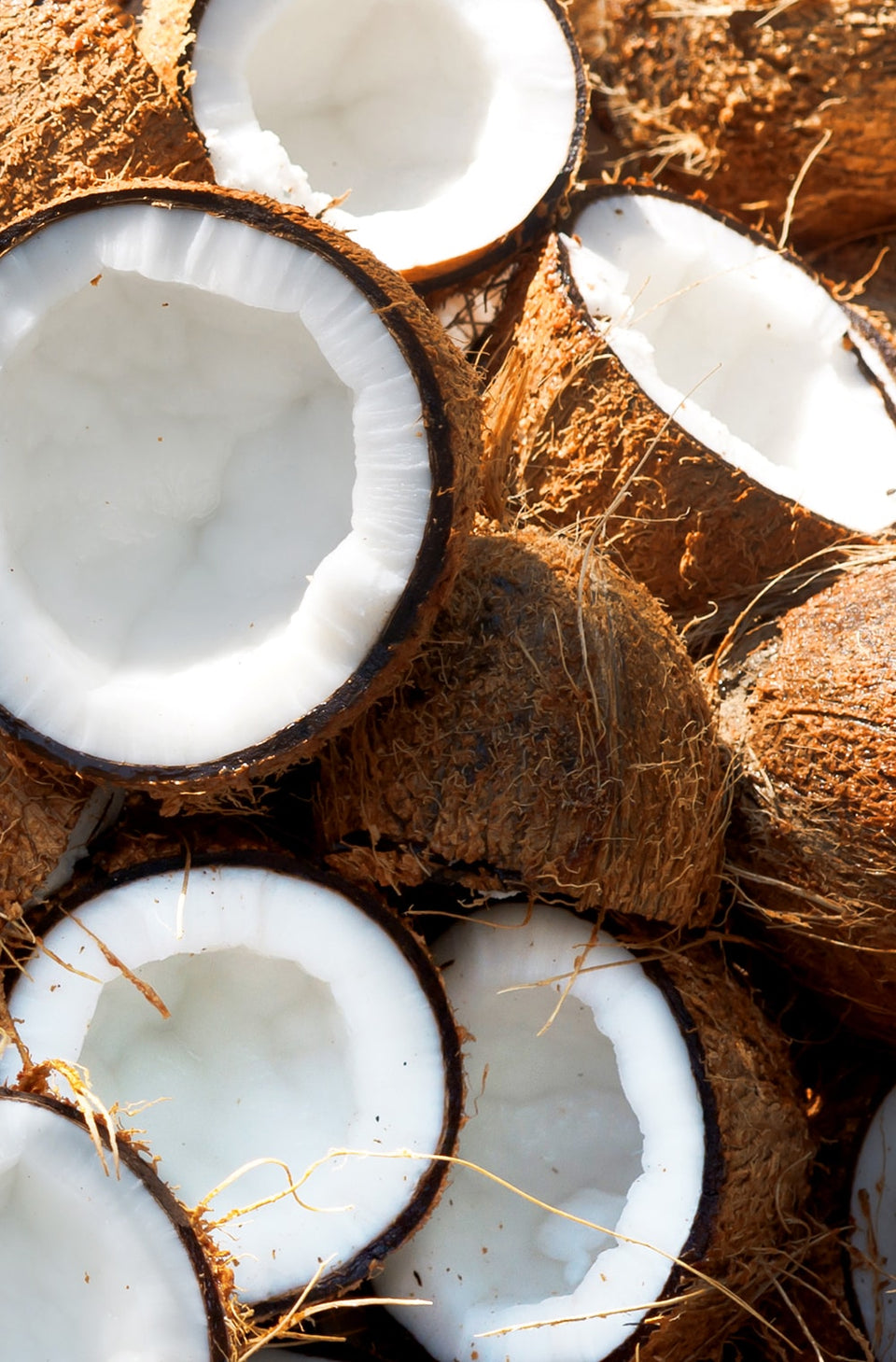 Imagen de coco, ingrediente del champú Shikakai