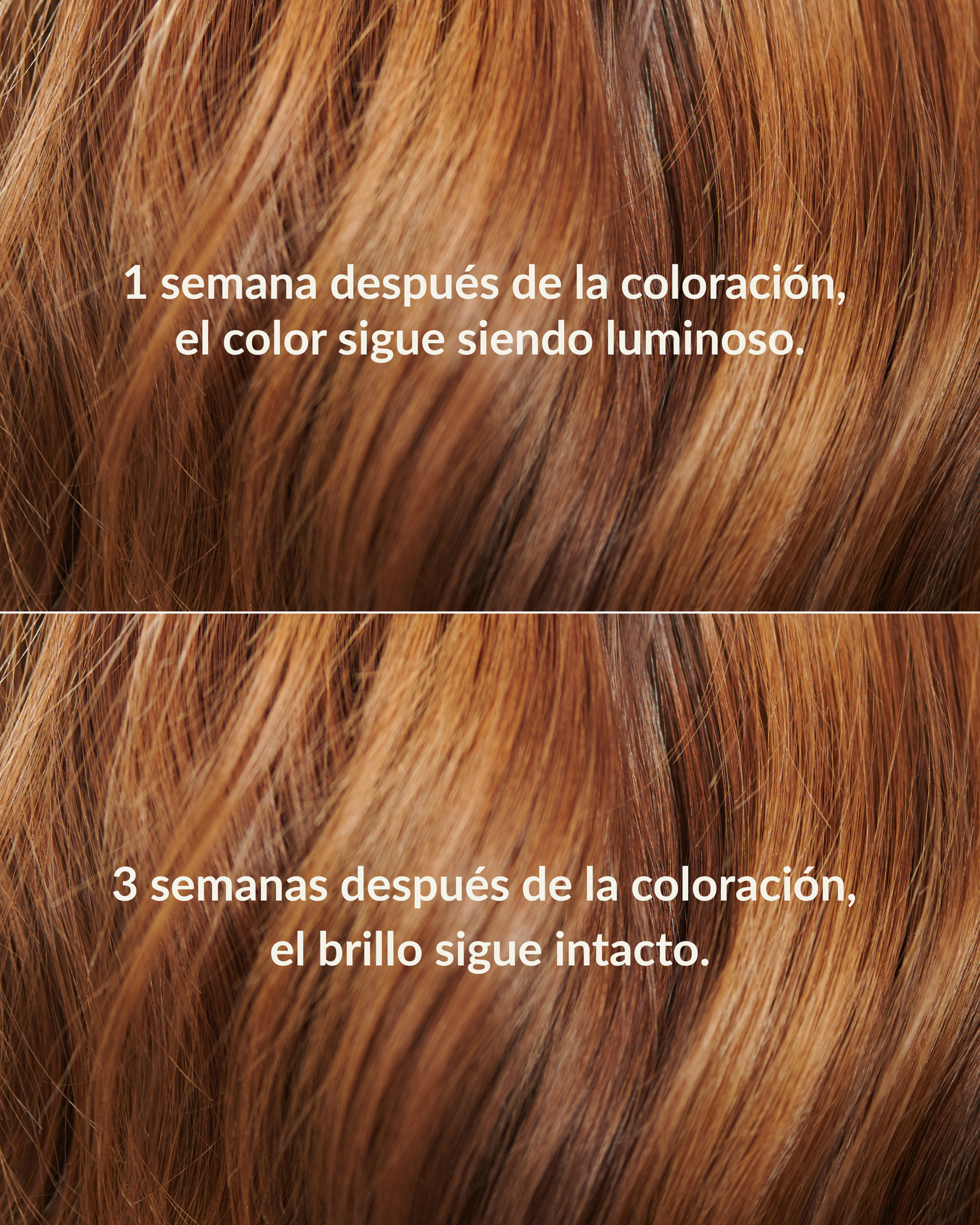 Champú Color Care