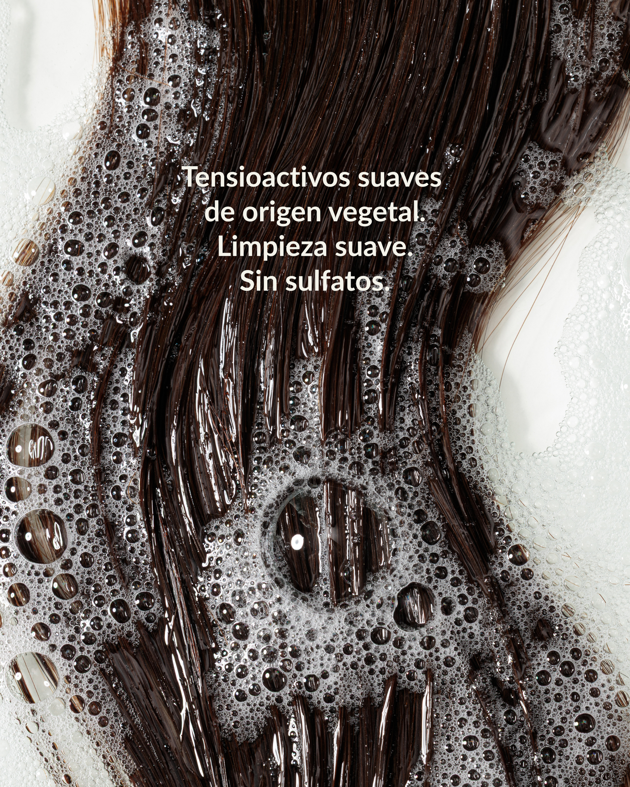 Champú Color Care
