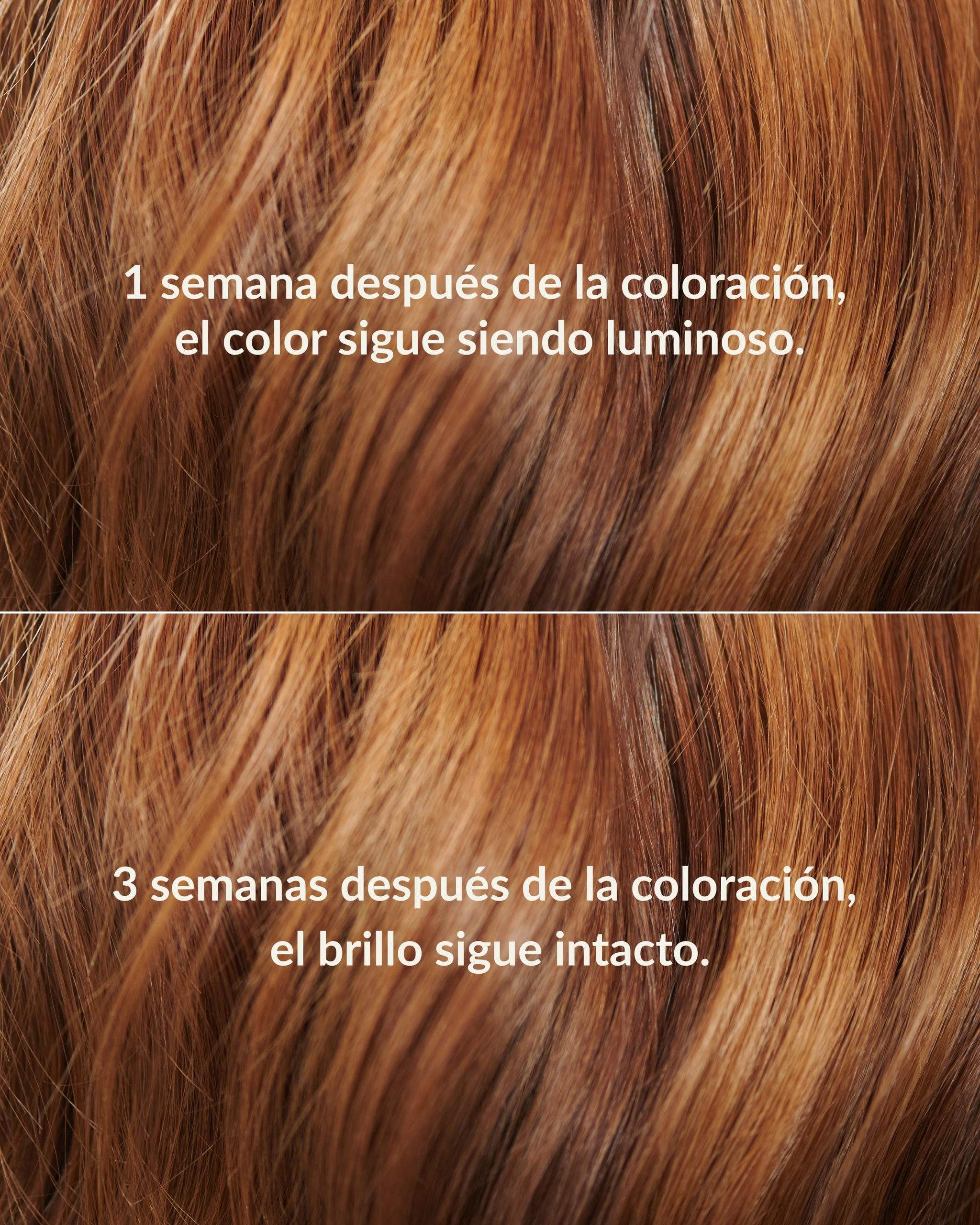 Image 44860943368493