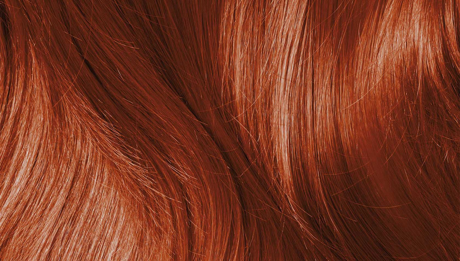 Bild von Henna Produktverpackung, Haarfarbe im Modell