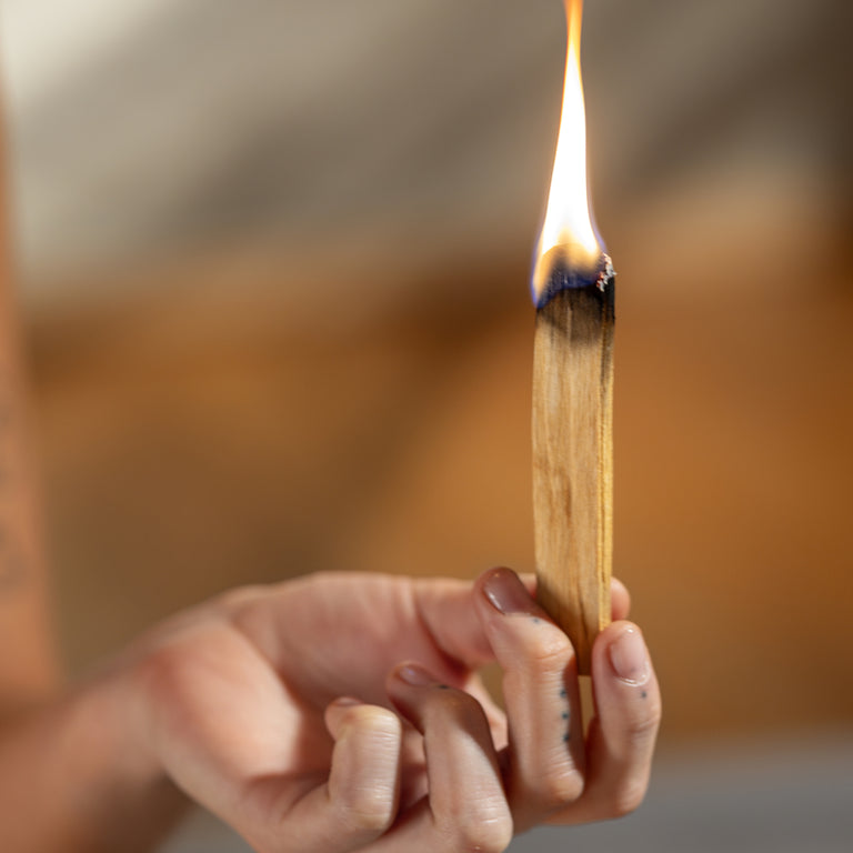 Image 43696671162669