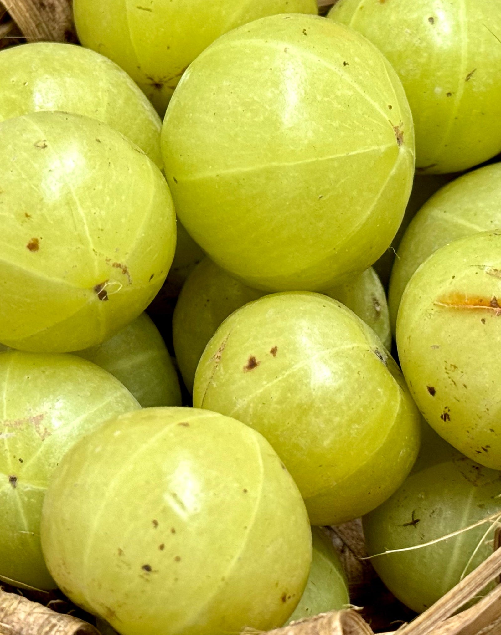 Amla Berry – Khadi Inhaltsstoff