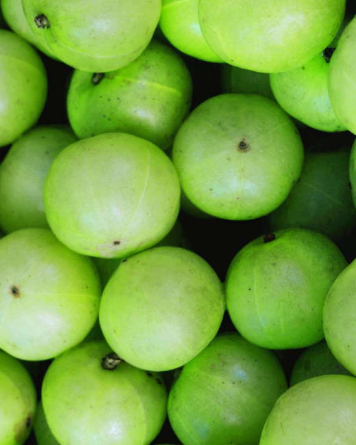 Fruta de Amla, usada en el champú Amla Volume