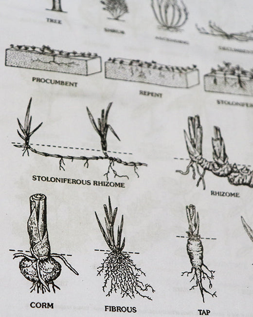 Khadi Ayurveda Produktbild